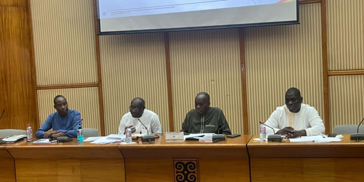 IMF programme: There is light ahead – Council of State Chair to Ghanaians