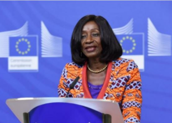 Former Minister of Fisheries, Sherry Ayittey dies at age 75