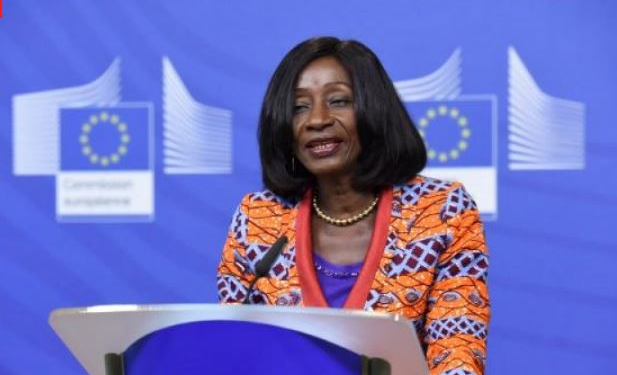 Former Minister of Fisheries, Sherry Ayittey dies at age 75