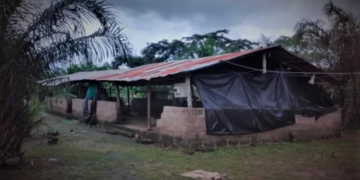 Mentally challenged ‘dying to heal’ at Pentecostal Zion Church