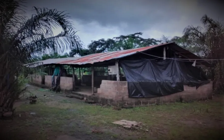 Mentally challenged ‘dying to heal’ at Pentecostal Zion Church