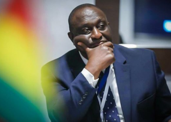 Most NPP MPs fear to publicly support Alan – Lambussie MP