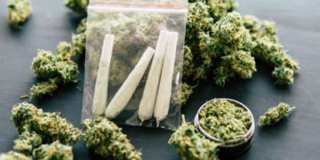 Supreme Court’s ruling on cannabis cultivation a grave mistake – Ambrose Dery