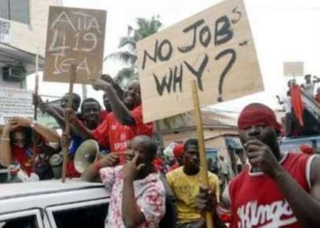 GSS reveals alarming youth unemployment and education gap