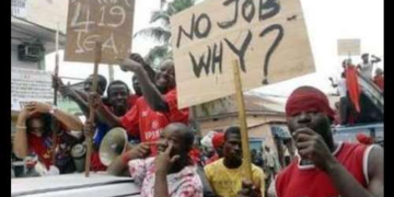 GSS reveals alarming youth unemployment and education gap