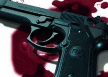 Soldier accidentally shoots himself near Michel Camp