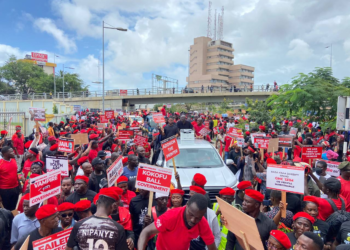 NDC MPs, other groups to stage #OccupyBoGProtest today