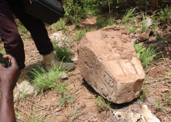 Ghana, Côte d’Ivoire agree to construct monument to mark boundary line