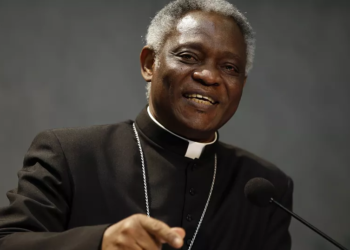 “Don’t criminalize LGBTQ activities” – Cardinal Turkson
