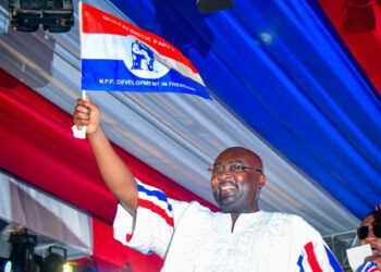 Election 2024: The NPP constitutes national campaign committees