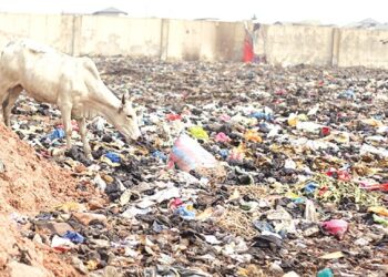 Open defecation and indiscriminate refuse dumping take over Agbogbloshie after traders’ relocation