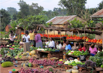 Ghana’s economy grew by 2.9% in 2023
