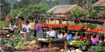 Ghana’s economy grew by 2.9% in 2023