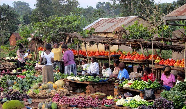 Ghana’s economy grew by 2.9% in 2023