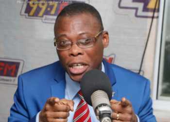 Election 2024: NPP must lose 2024 election for mismanaging economy – Fifi Kwetey