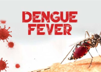 Ghana Health Service warns public against outbreak of dengue fever