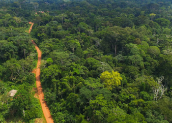 Reverse E.I 144 to protect Achimota Forest – CSOs demand