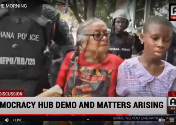 Democracy Hub: Children have right to demonstrate – Child’s Right International