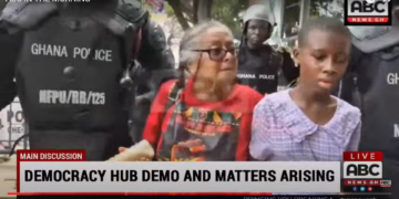 Democracy Hub: Children have right to demonstrate – Child’s Right International