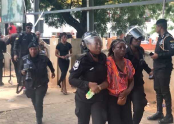 Democracy Hub: Police arrest Barker-Vormawor for inciting public disorder