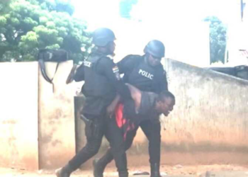 Democracy Hub: Police arrest Barker-Vormawor for inciting public disorder