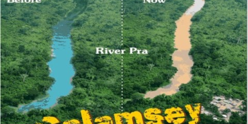 Declare galamsey a State of Emergency – Yaw A. Arhin to govt