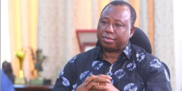 CHRAJ Commissioner criticizes President Akufo-Addo’s fight against illegal mining