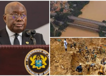 ‘This isn’t what we asked for, dismiss Lands Minister’- Arocha Ghana reacts to 5-member committee