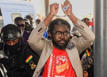 Democracy Hub: Police arrest Barker-Vormawor for inciting public disorder