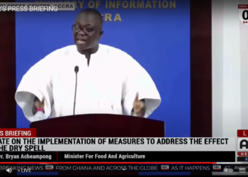 Bryan Acheampong, Agriculture Minister