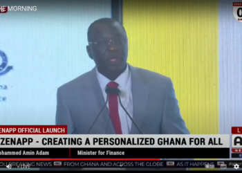 ‘CitizenApp to track all govt transactions’ – Finance Minister