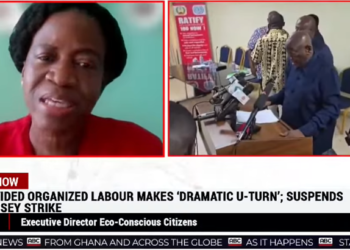 ‘Revoke licenses to mine in forest reserves’ – Eco-Conscious Citizens