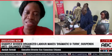 ‘Revoke licenses to mine in forest reserves’ – Eco-Conscious Citizens