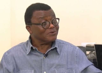 Belief that parliament is autonomous is misplaced – Prof. Agyemang-Duah argues