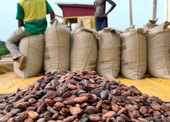 Cocoa Carriers Association suspends sit-down strike