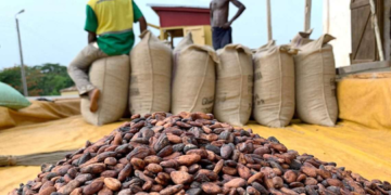 Cocoa Carriers Association suspends sit-down strike