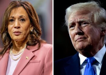 White privilege didn’t play a role for Kamala – Int Relations Correspondent