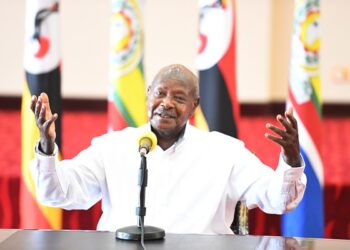 TikToker jailed 32 months for insulting Uganda’s president