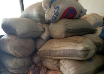 Walewale: Police confiscate 37 bags of cocoa beans suspected of being smuggled outside of Ghana