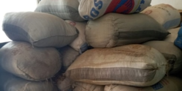 Walewale: Police confiscate 37 bags of cocoa beans suspected of being smuggled outside of Ghana
