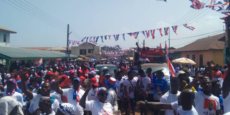 Election 2024: NPP targets 30 parliamentary seats in Eastern Region