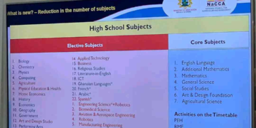 The 36 New SHS Subjects To Be Studied By 2024 BECE Graduates