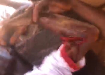 [VIDEO] Shooting incident in Nyankpala leaves one reportedly dead