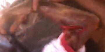 [VIDEO] Shooting incident in Nyankpala leaves one reportedly dead