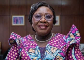 Akosua Frema Osei-Opare chairs government transition team