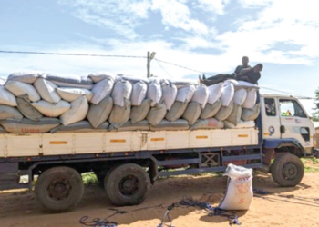 400 cocoa bags intercepted at Nketepa