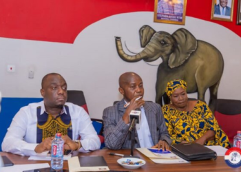 NPP National Council to convene January 2