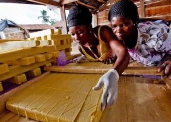 KPMG calls for SMES to adopt proper governance structures for long-term growth