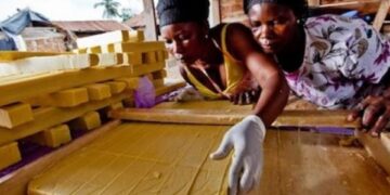 KPMG calls for SMES to adopt proper governance structures for long-term growth