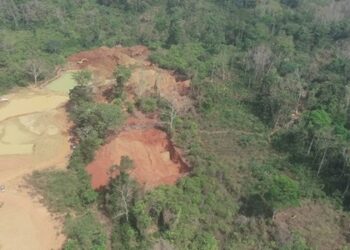 NDC affiliated group allegedly takes control of Atewa Forest